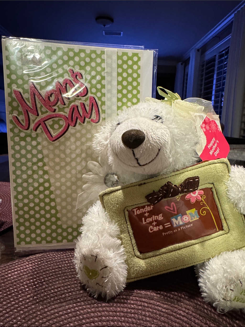 New Mother's Day Plush Bear Gift With Green Polka Dot Card
